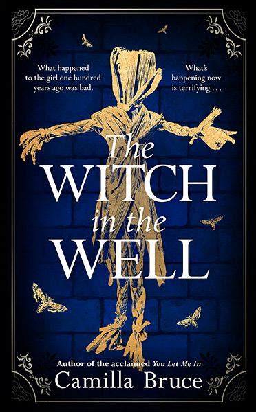 The Witch's Journey: An Exploration of 'The Witch Who Fell into the Well